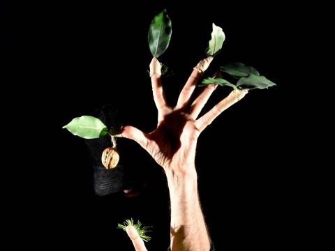 illustration